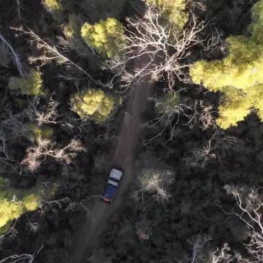 Black Duck Seat Covers 1