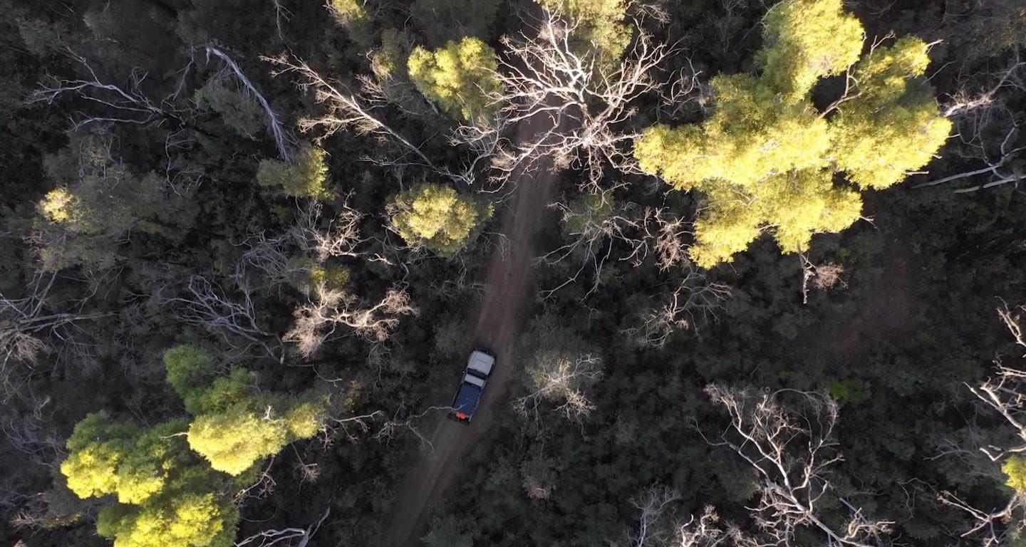 Black Duck Seat Covers 1 }}